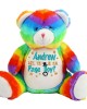 Personalised Will you be Our Page Boy Gift Embroidered Large Rainbow Teddy Bear