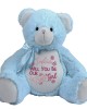 Personalised Embroidered Will you be our flower girl gift Large 40cm Teddy Pink & blue Bear.
